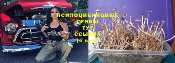 гашик Покровск